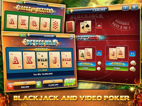 bet999 casino login